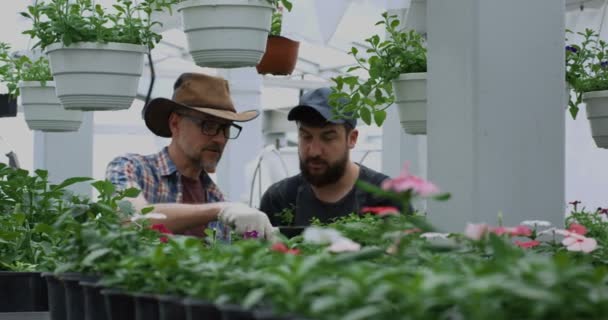 Gardeners taking photo of pot plant — Stock Video