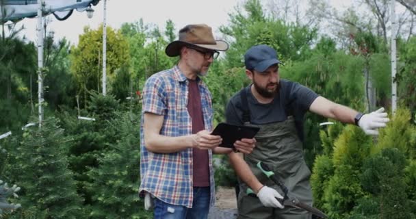 Jardineros examinando planta — Vídeo de stock