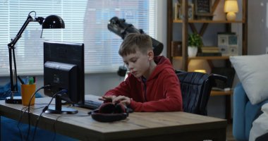Wheelchaired boy using computer