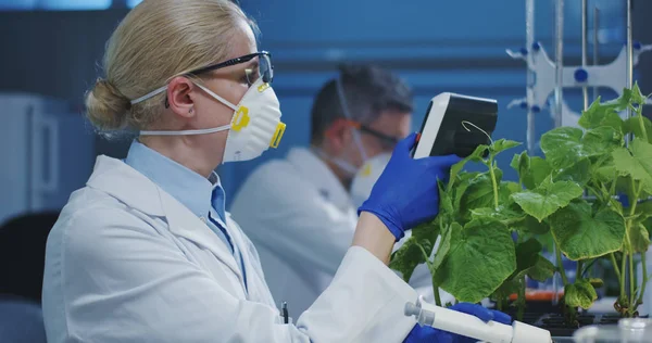 Wetenschapper die experimenteert met een groene plant — Stockfoto