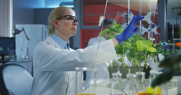 Cientista usando uma tela plana transparente — Fotografia de Stock