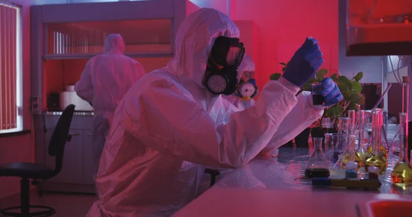Científicos sentados y trabajando en laboratorio — Foto de Stock