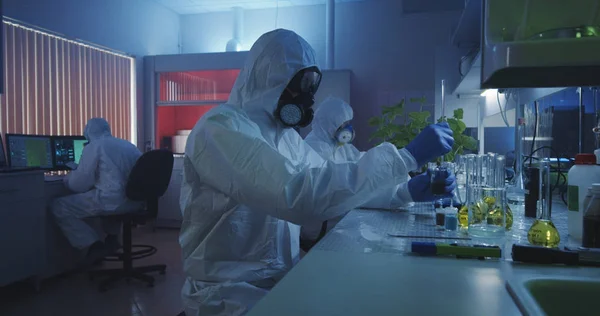Scientists working in laboratory — Stock Photo, Image