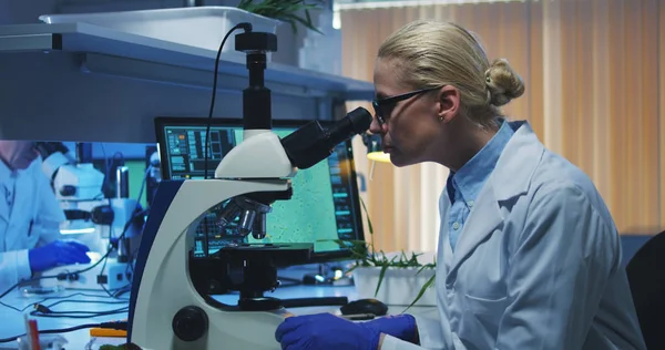 Cientista examinando bactérias com microscópio — Fotografia de Stock