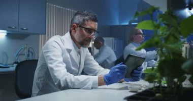 Bilim adamı yeşil bitkinin fotoğrafını çekiyor