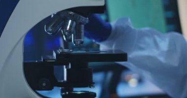 Mikroskopla incelenen bakteri örneği