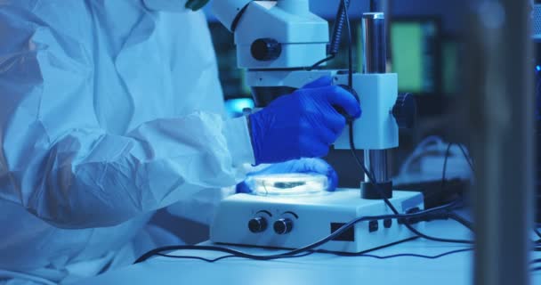 Científico examinando la muestra con un microscopio — Vídeos de Stock