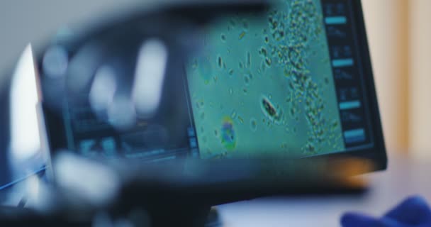 Bacteriën monster onderzocht met Microscoop — Stockvideo