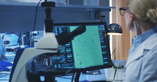 Cientista examinando bactérias com microscópio — Vídeo de Stock