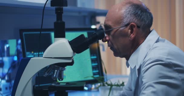 Scientist examining bacteria with microscope — Stock Video