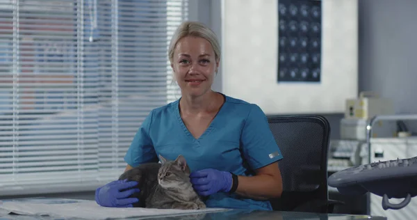 Male veterinarian fondling cat