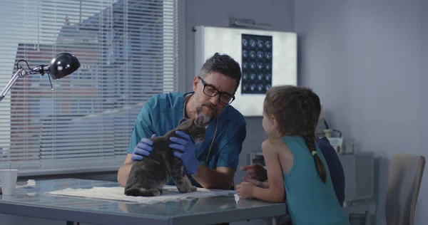Veterinär som förklarar för katter Masters — Stockfoto