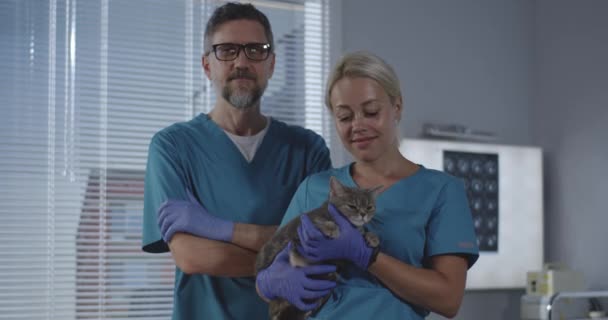 Veterinaria hembra sosteniendo gato — Vídeo de stock
