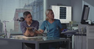 Ultrason taraması yapan veteriner