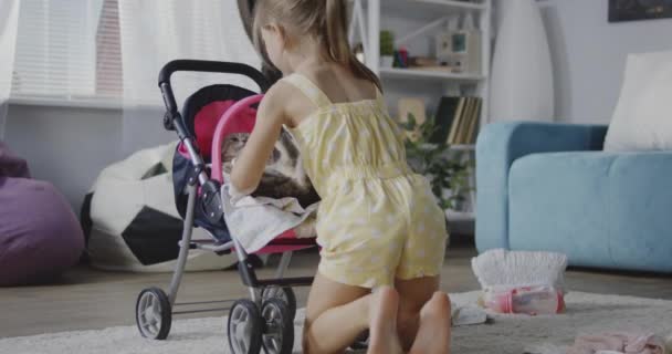 Menina tirando foto de gato — Vídeo de Stock