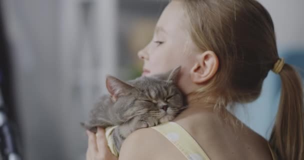 Menina segurando e beijando gato — Vídeo de Stock