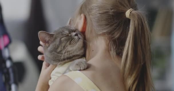 Девушка держит и целует кота — стоковое видео