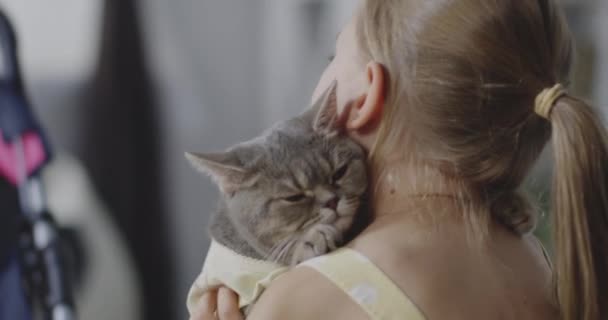 Cat lying at girls shoulder — Stock Video