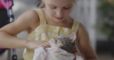 Kız kedi üzerinde giysi koyarak
