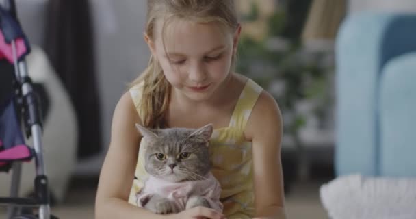 Kız kedi üzerinde giysi koyarak — Stok video