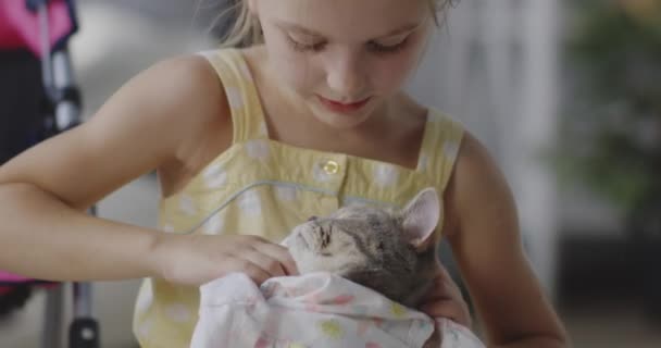 Girl putting clothes on cat — Stock Video