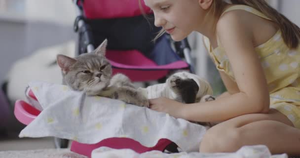 Kız emziren kedi — Stok video