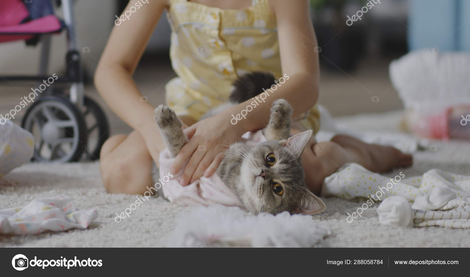 Girl putting clothes on cat Stock Photo by ©EvgeniyShkolenko 288058784