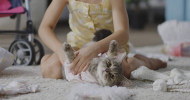 Kız kedi üzerinde giysi koyarak