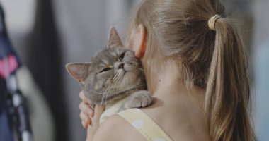 Kedi kızlar omuz yatarken