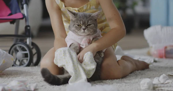 Girl putting clothes on cat