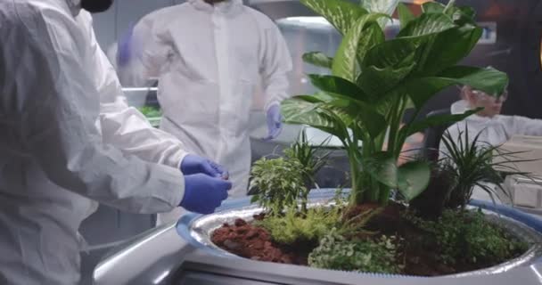 Due scienziati che esaminano il terreno del giardino marziano — Video Stock