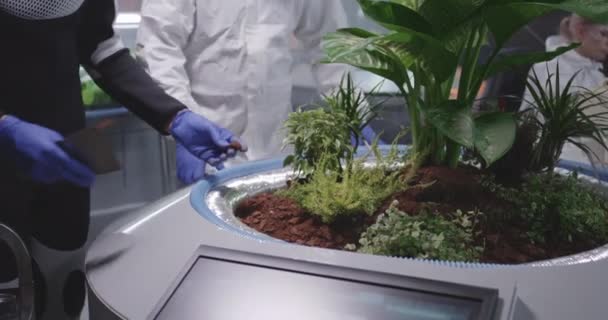 Wetenschappers die de grond van Martian Garden bestuderen — Stockvideo