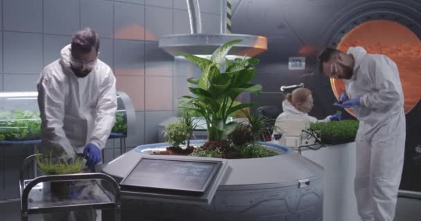 Scientists tending Martian garden — Stock Video