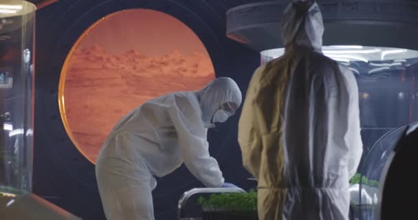 Científicos en trajes de materiales peligrosos revisando incubadoras de plantas — Vídeos de Stock