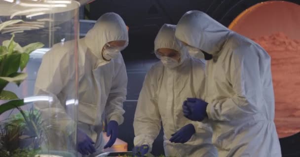 Учёные, изучающие рассады в лаборатории — стоковое видео