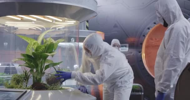 Biólogos trabajando en un laboratorio en una base de Marte — Vídeo de stock