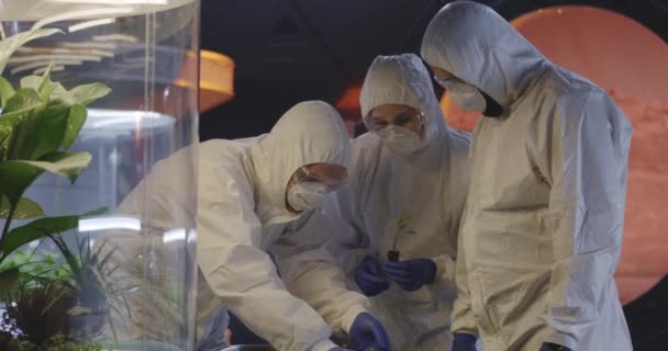 Científicos examinando plántulas en un laboratorio — Vídeo de stock