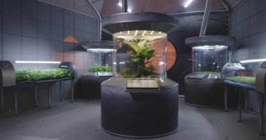 Mars üssündeki bitki kuluçka makineleri