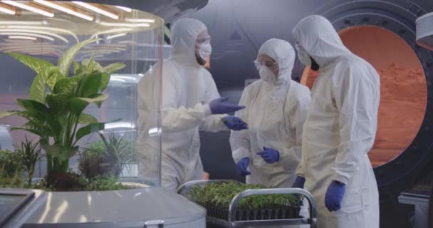 Wetenschappers die zaailingen in een laboratoriumonderzoeken — Stockvideo