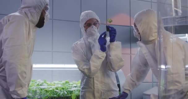 Scientifiques examinant des semis dans un laboratoire — Video