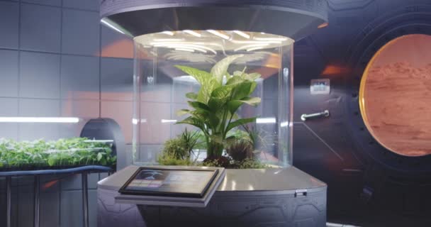 Incubateurs de plantes sur une base Mars — Video