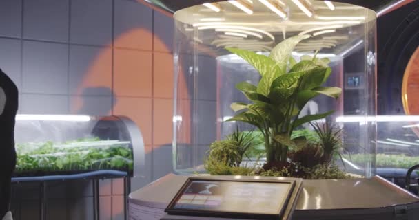 Astrobiologiste féminine vérifiant les incubateurs de plantes — Video