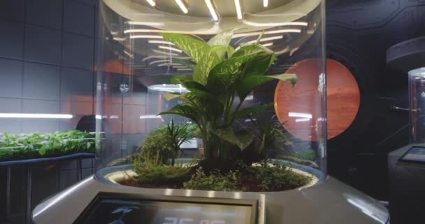 Incubateurs de plantes sur une base Mars — Video