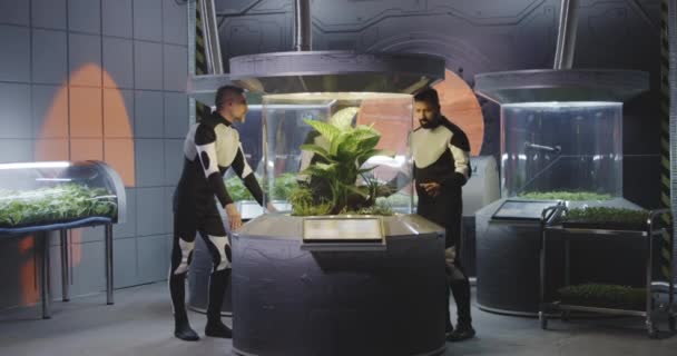 Astrobiologists examining plant incubator — Stock Video