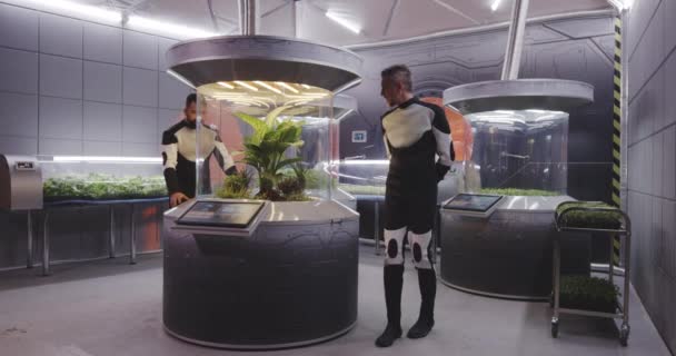 Astrobiologistes travaillant avec des incubateurs de plantes — Video