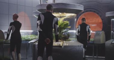 Bitki kuvözleri ile çalışan astrobiyologlar