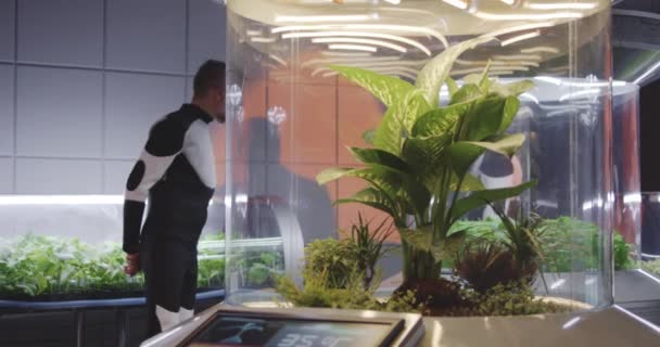 Astrobiologist checking plant incubator — Stock Video