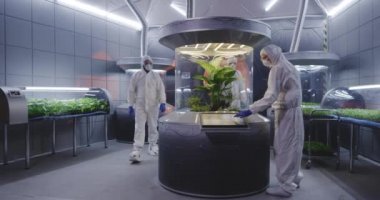 Hazmat takım elbisebilim adamları bitki kuluçka kontrol