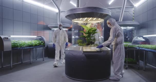 Scientists in hazmat suit checking plant incubators — Stock Video