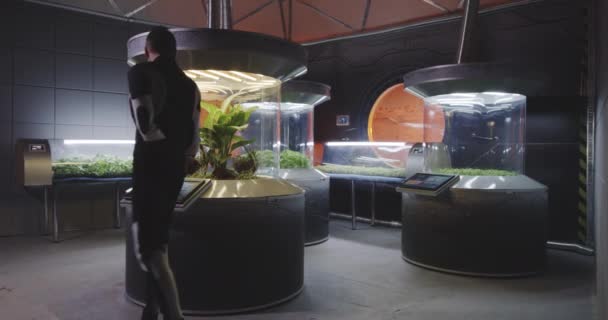 Astrobiologistes travaillant avec des incubateurs de plantes — Video